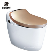 Multifunction Electronic Bidet Toilet Without Tank,Wash Automatic Smart Ceramic Hygiene Toilet